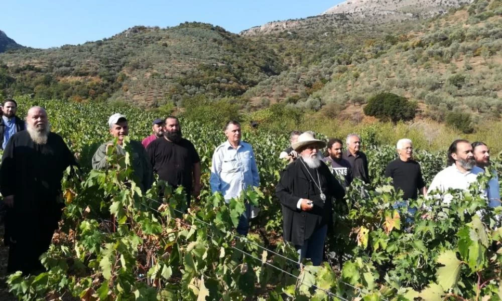 Τρύγος στην Μητρόπολη Μαντινείας